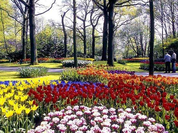 rose_garden